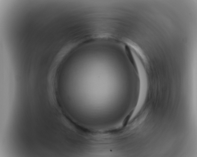 X0000092110577200709262200