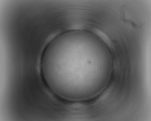 X0000092110578200709262200