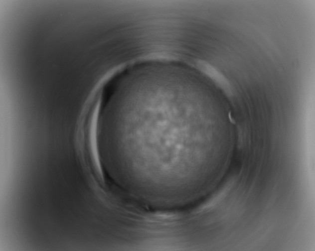 X0000092110580200709262200