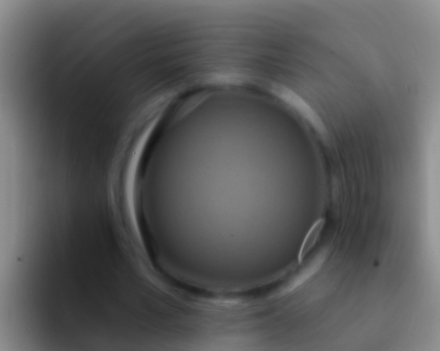 X0000092110581200709262200