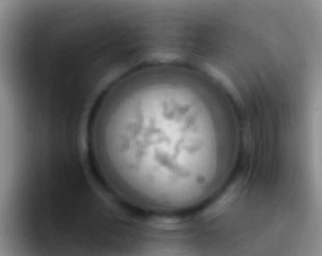 X0000092110582200709262200