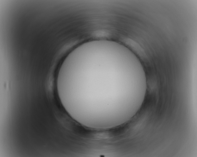 X0000092110583200709262200