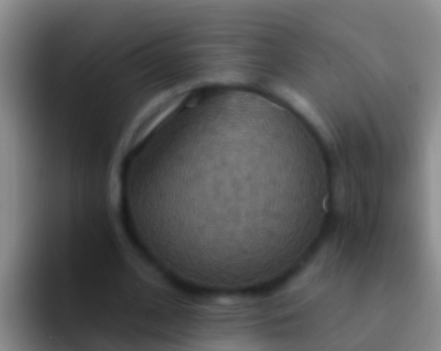 X0000092110584200709262200