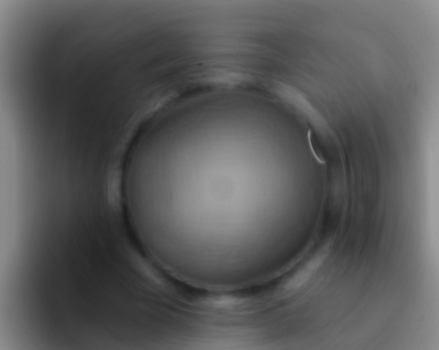 X0000092110585200709262200