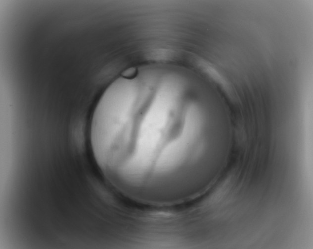 X0000092110586200709262200