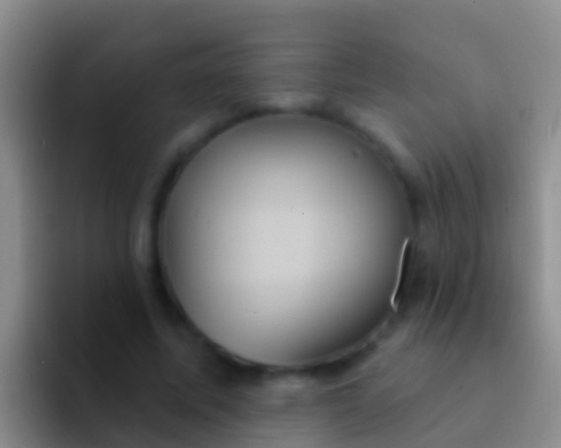 X0000092110587200709262200