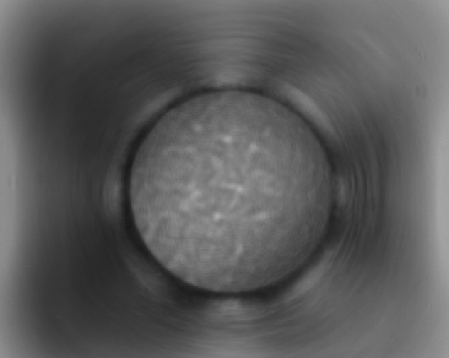 X0000092110588200709262200