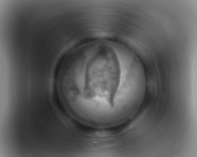 X0000092110591200709262200