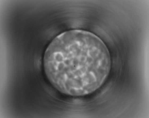 X0000092110592200709262200