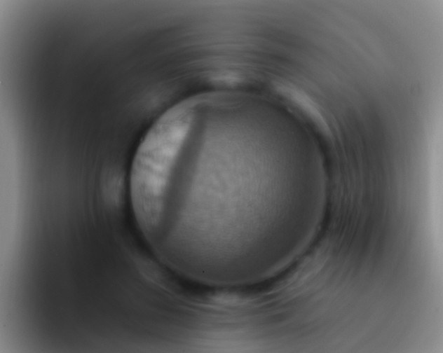 X0000092110596200709262200