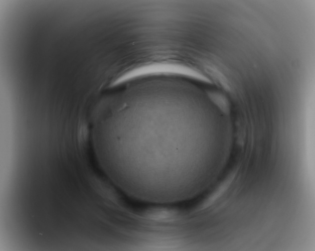 X0000092110597200709262200