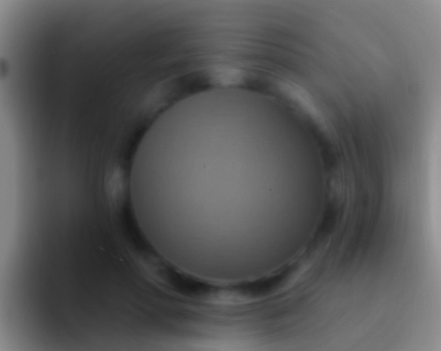 X0000092110598200709262200