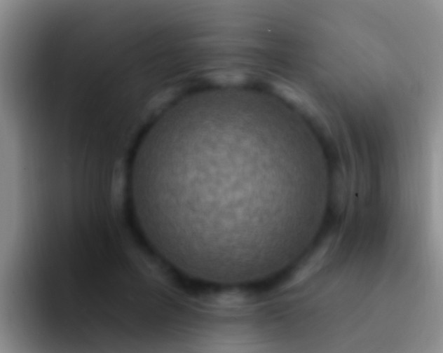 X0000092110600200709262200