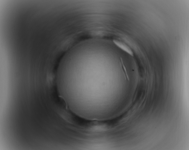 X0000092110601200709262200