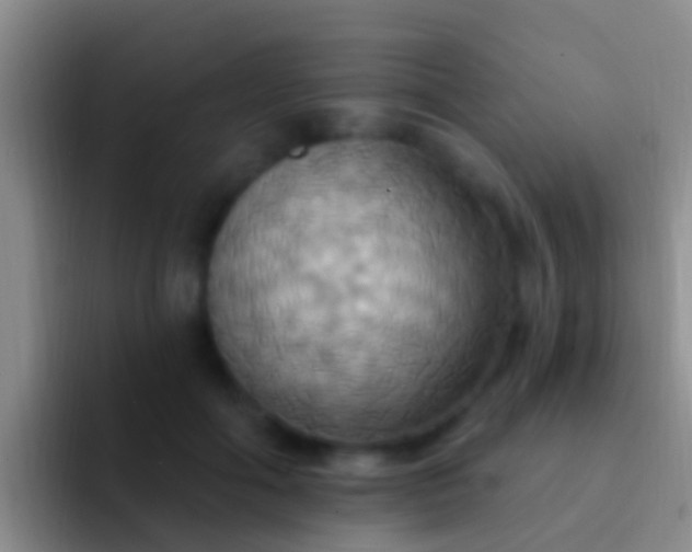 X0000092110602200709262200