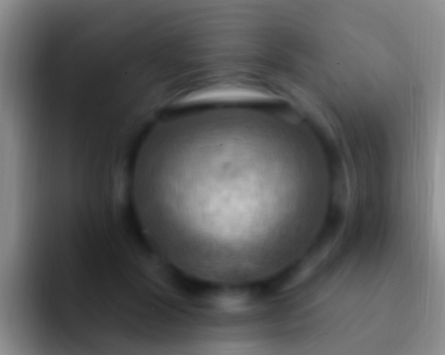 X0000092110604200709262200