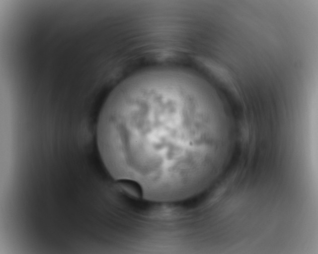 X0000092110607200709262200