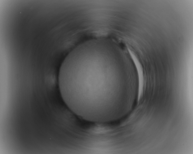 X0000092110608200709262200