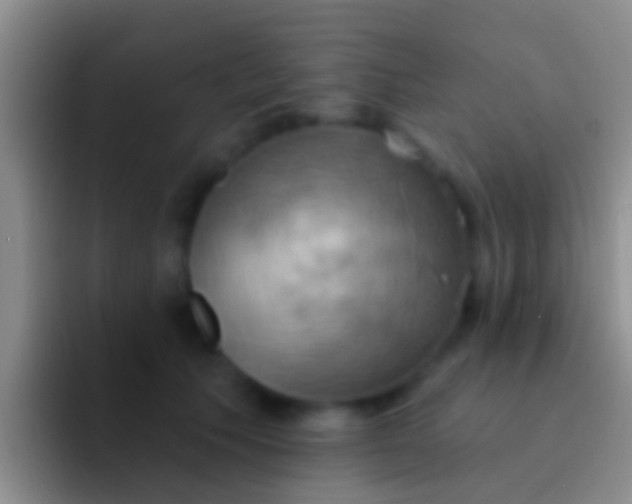 X0000092110609200709262200