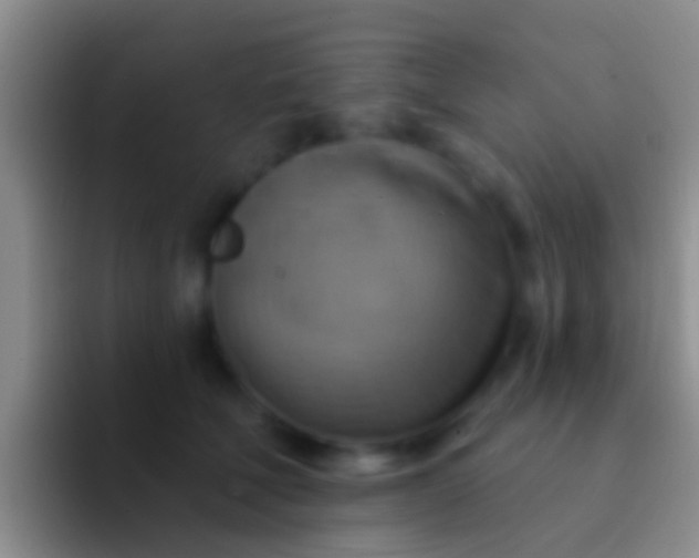 X0000092110610200709262200