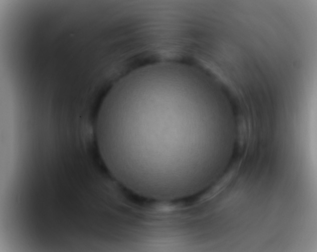 X0000092110613200709262200