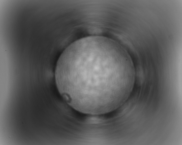 X0000092110614200709262200