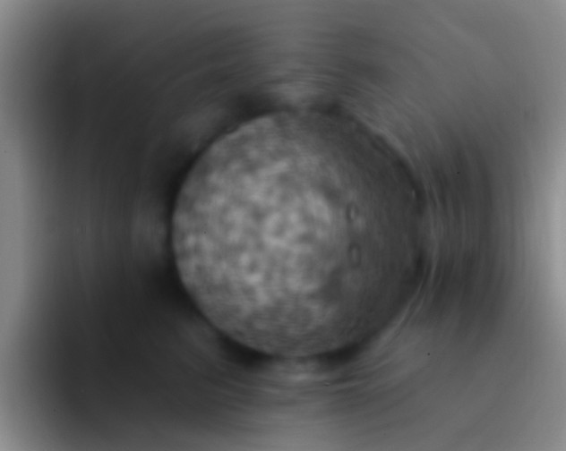 X0000092110615200709262200