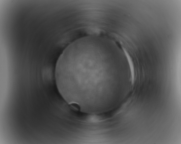 X0000092110616200709262200