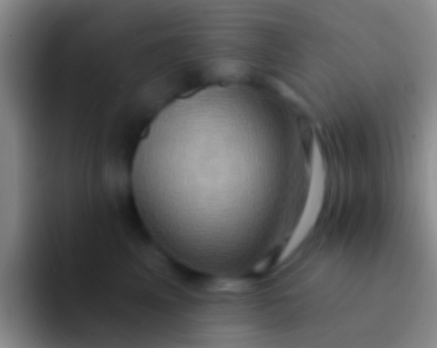 X0000092110617200709262200