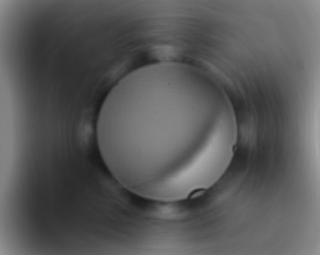 X0000092110618200709262200