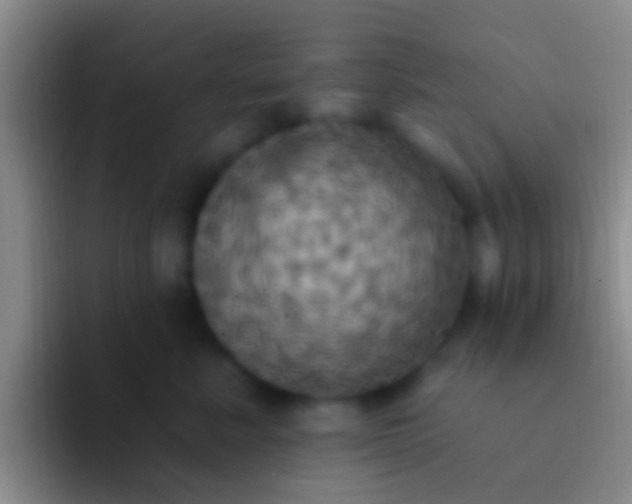 X0000092110619200709262200