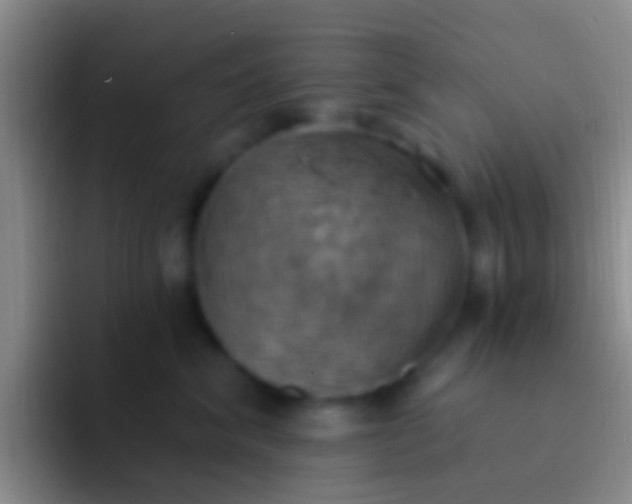 X0000092110620200709262200