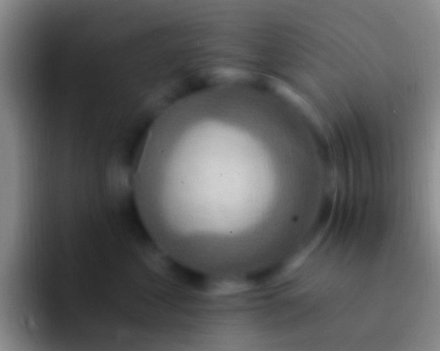 X0000092110621200709262200