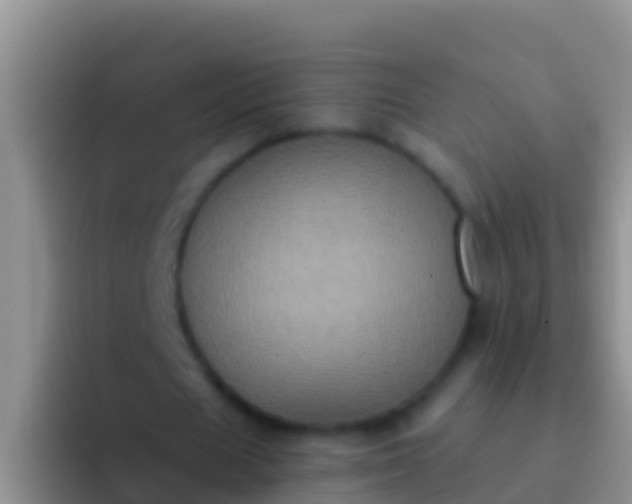 X0000092110625200709262159