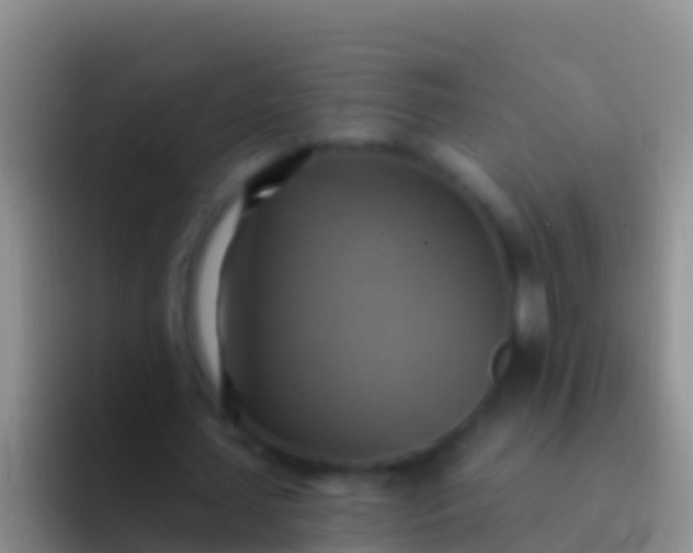 X0000092110627200709262159