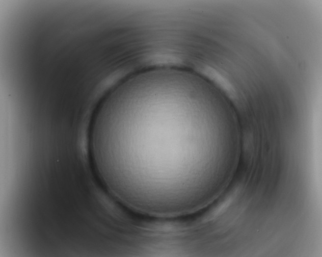 X0000092110629200709262159