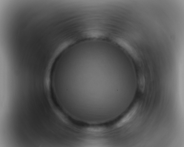 X0000092110630200709262159