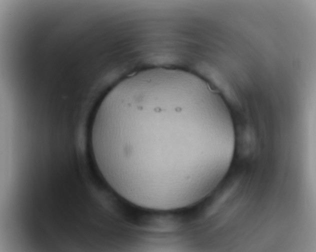 X0000092110631200709262159