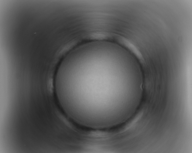 X0000092110633200709262159