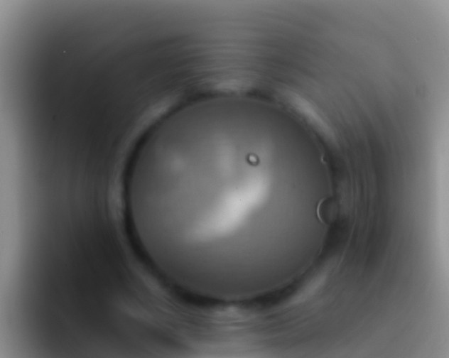 X0000092110634200709262159