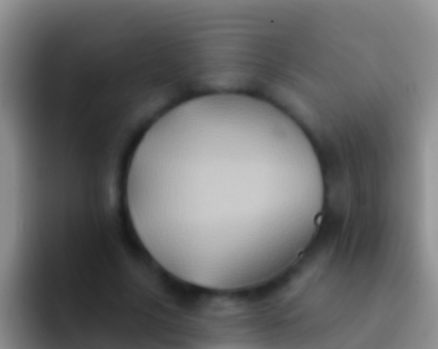 X0000092110635200709262159