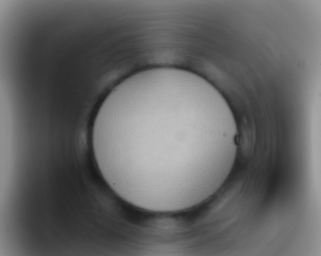 X0000092110636200709262159