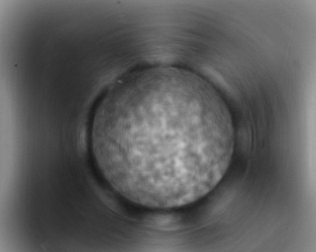 X0000092110638200709262200