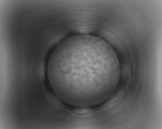 X0000092110639200709262200