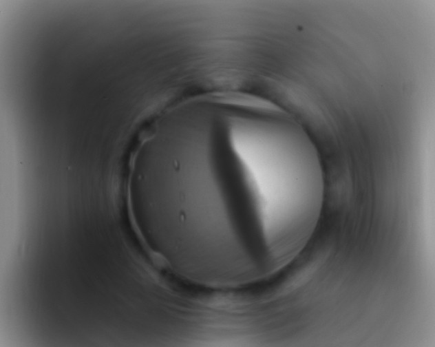 X0000092110641200709262200