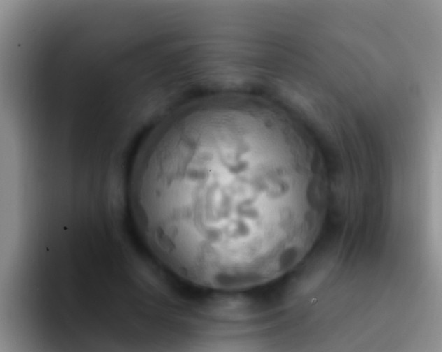 X0000092110642200709262200