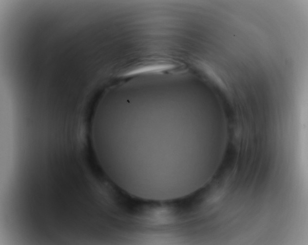 X0000092110643200709262200