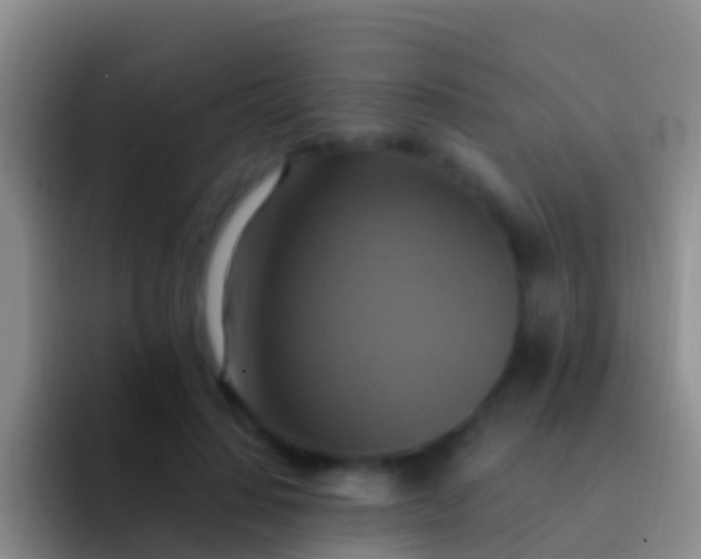 X0000092110644200709262200