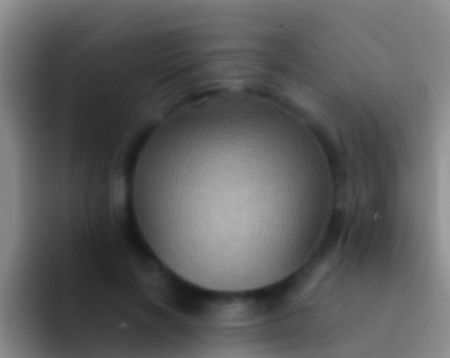 X0000092110646200709262200