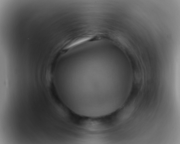 X0000092110648200709262200